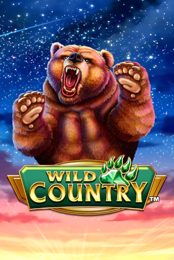 Бесплатная версия игры Wild Country | VAVADA KZ 